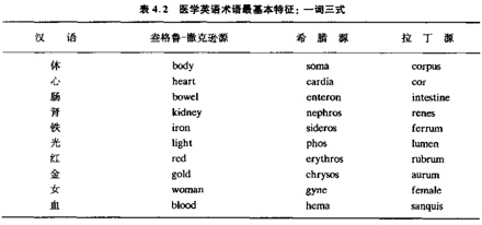 術(shù)語詞源a.jpg