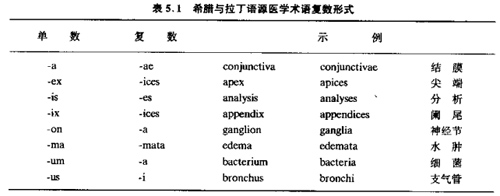 術(shù)語規(guī)則.jpg