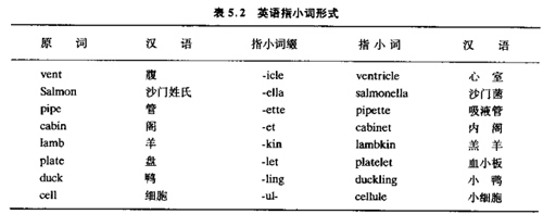 術(shù)語規(guī)則a.jpg