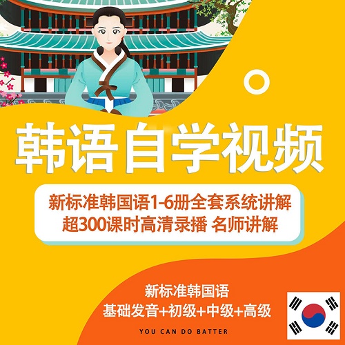 新標(biāo)準(zhǔn)韓國語1-6冊(cè)全套系統(tǒng)講解 300課時(shí)