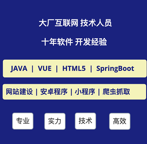 軟件開發(fā)定制Java Vue BUG修復(fù) 網(wǎng)站部署