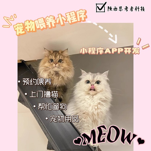 上門(mén)遛寵物 APP小程序定制