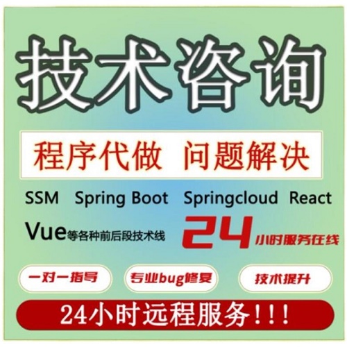 vue問(wèn)題解決 程序代做SSM Spring Boot